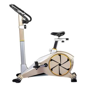 دوچرخه ثابت لاکچری G100